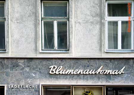 blumenautomat_2826