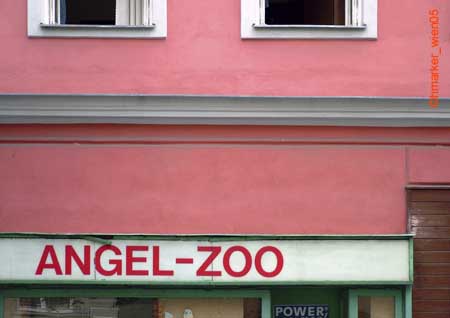 angelzoo_3146