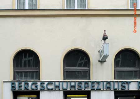 bergschuhspez_P0148