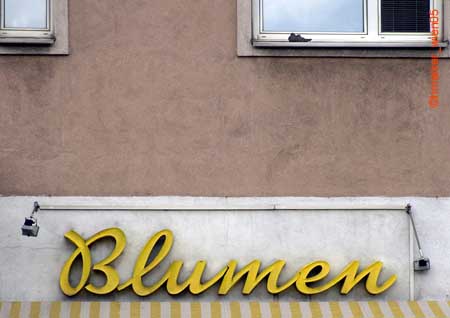 blumen_2167