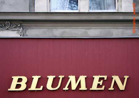 blumengold_i0514