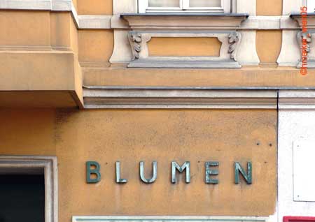 blumengruenbalkon_0386p