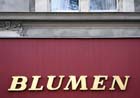 blumengold_i0514