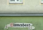 blumenhaus_2449