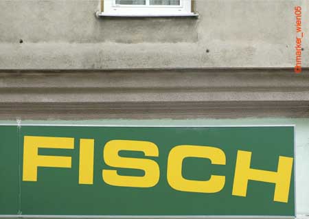 fisch_1243