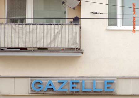 gazelle_1287