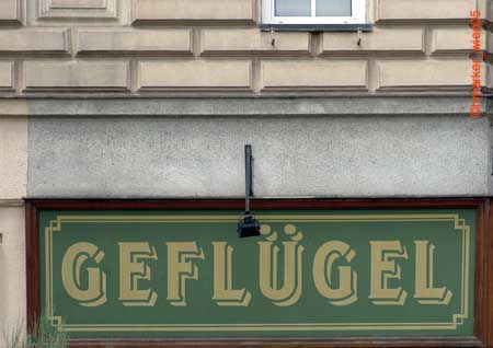 gefluegel_2864