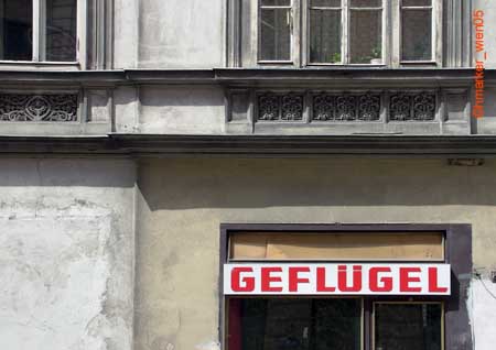 gefluegel_2946