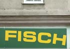 fisch_1243