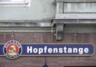 hopfenstng_P0091