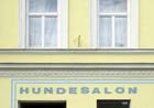 hundesalon_2158