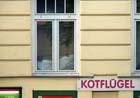 kotfluegel_2801