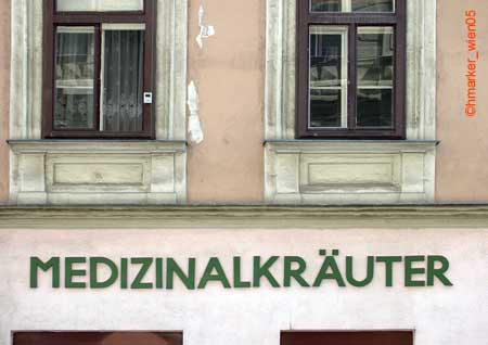 medizinalkraut_0578