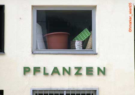 pflanzengruen_2522