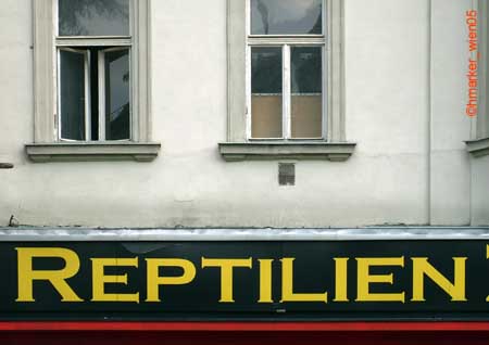 reptilien_2784