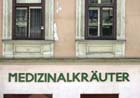 medizinalkraut_0578