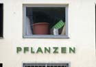 pflanzengruen_2522