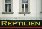 reptilien_2784