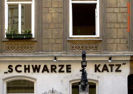 schwarzekatz_3179