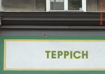 teppich_2018