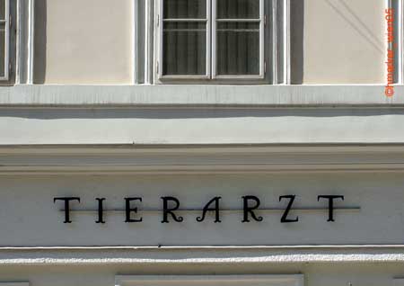 tierarzt_0796